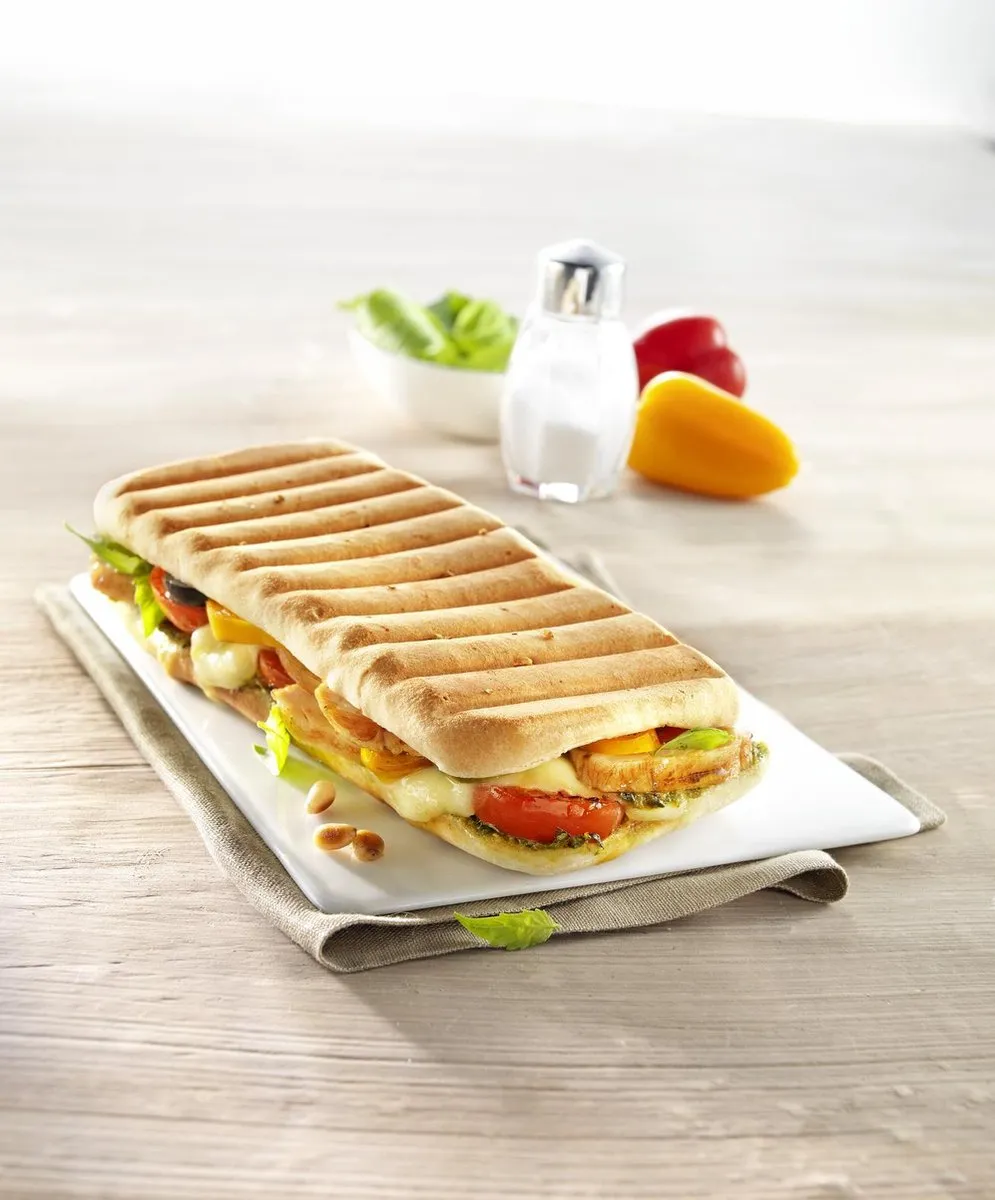 Moulinex Croc Time SZ192D12 Panini Grill - 700W - 2 Platen - Zilver