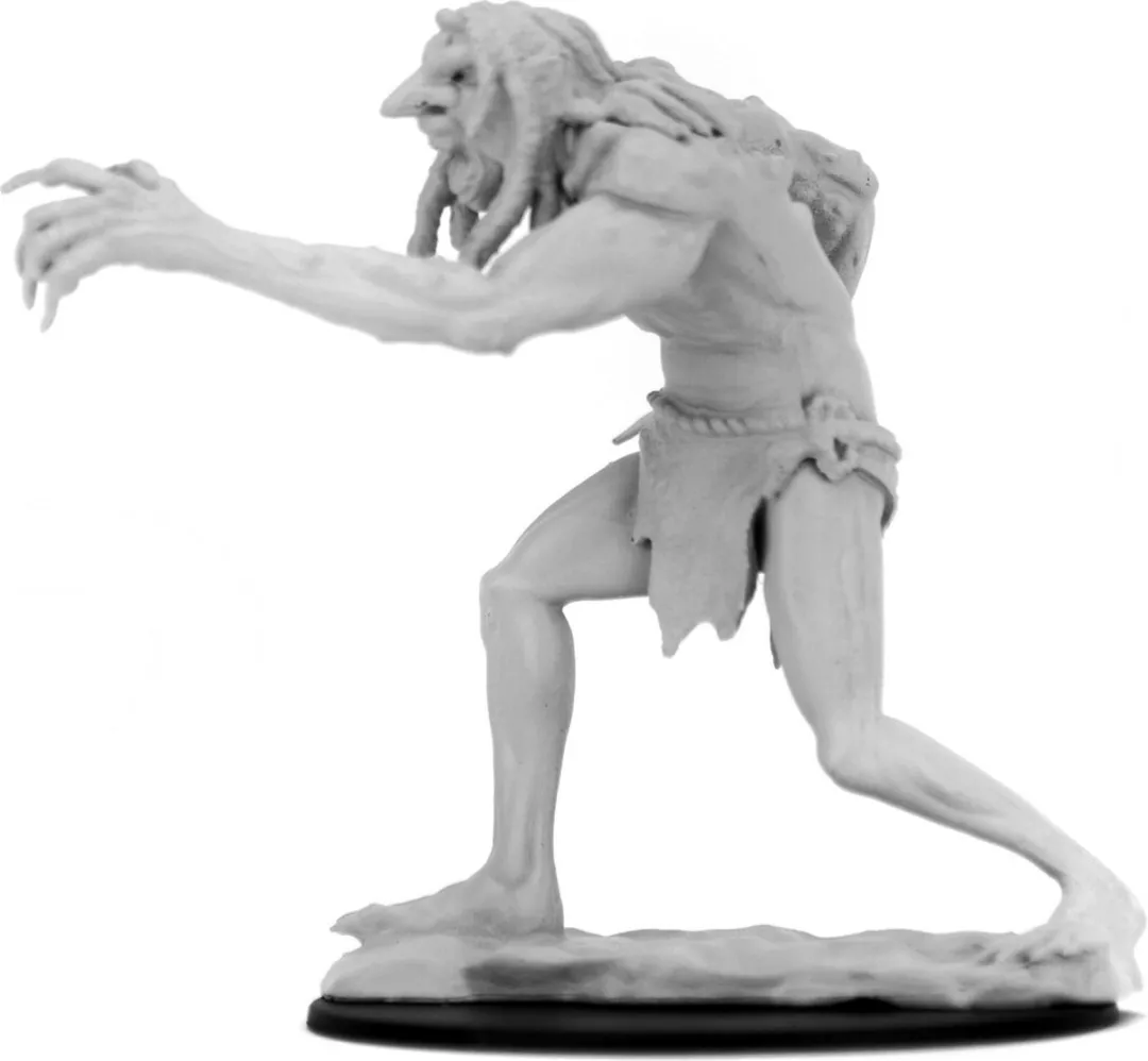 Wizkids D&D Troll