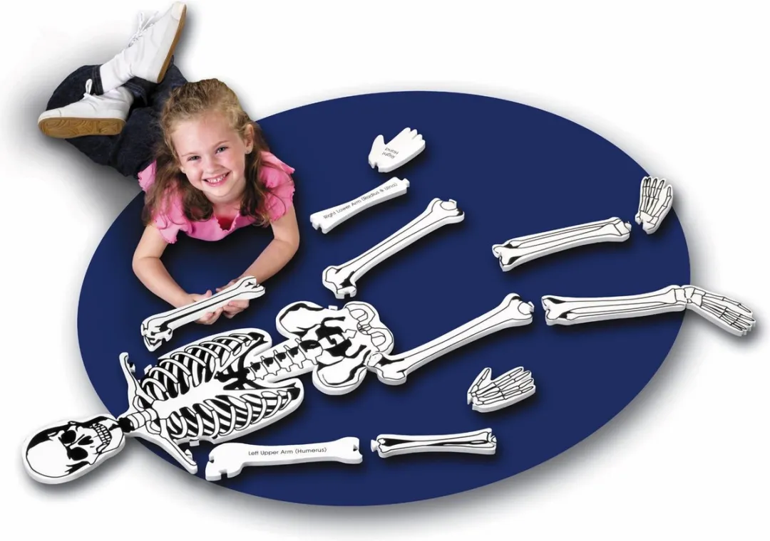 Learning Resources Vloerpuzzel Skelet 122cm