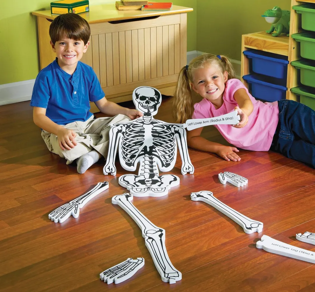 Learning Resources Vloerpuzzel Skelet 122cm - Multicolor