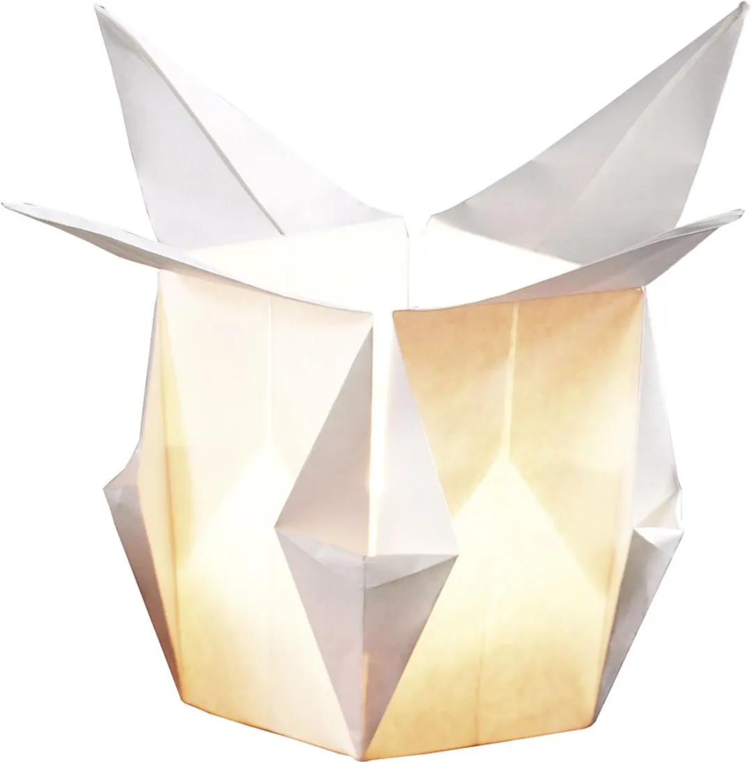 Creativ Company Lantaarnpapier 30x30cm - Wit - 12 Stuks
