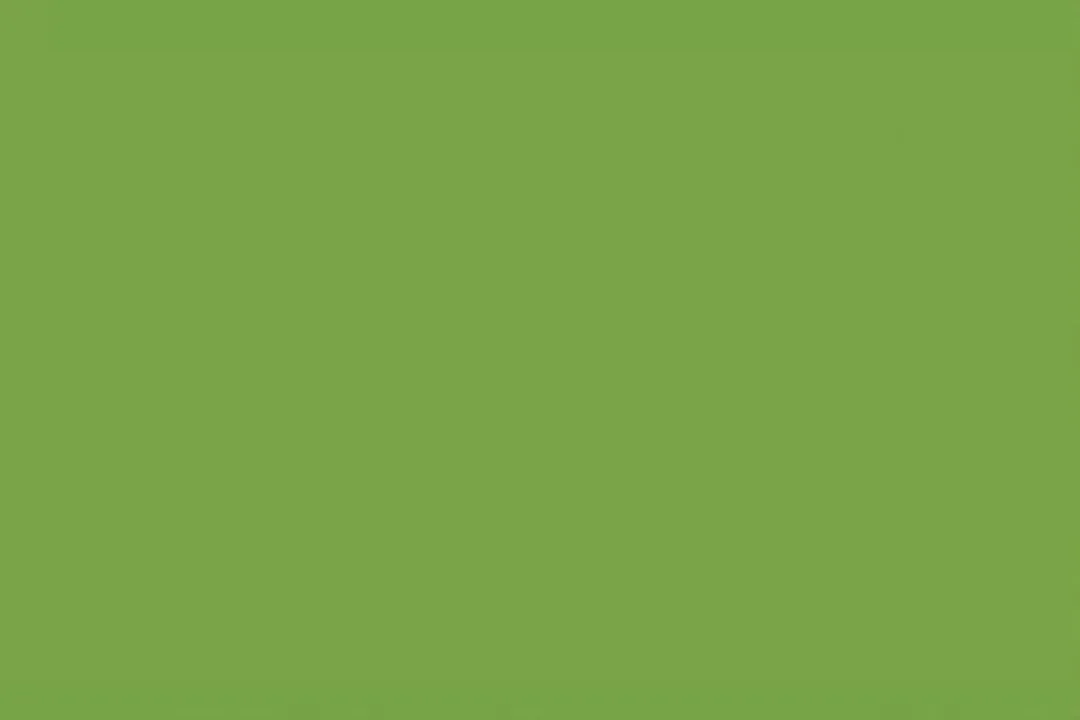 Folia Tekenpapier A4 Mosgroen 130gr - 100 Vel
