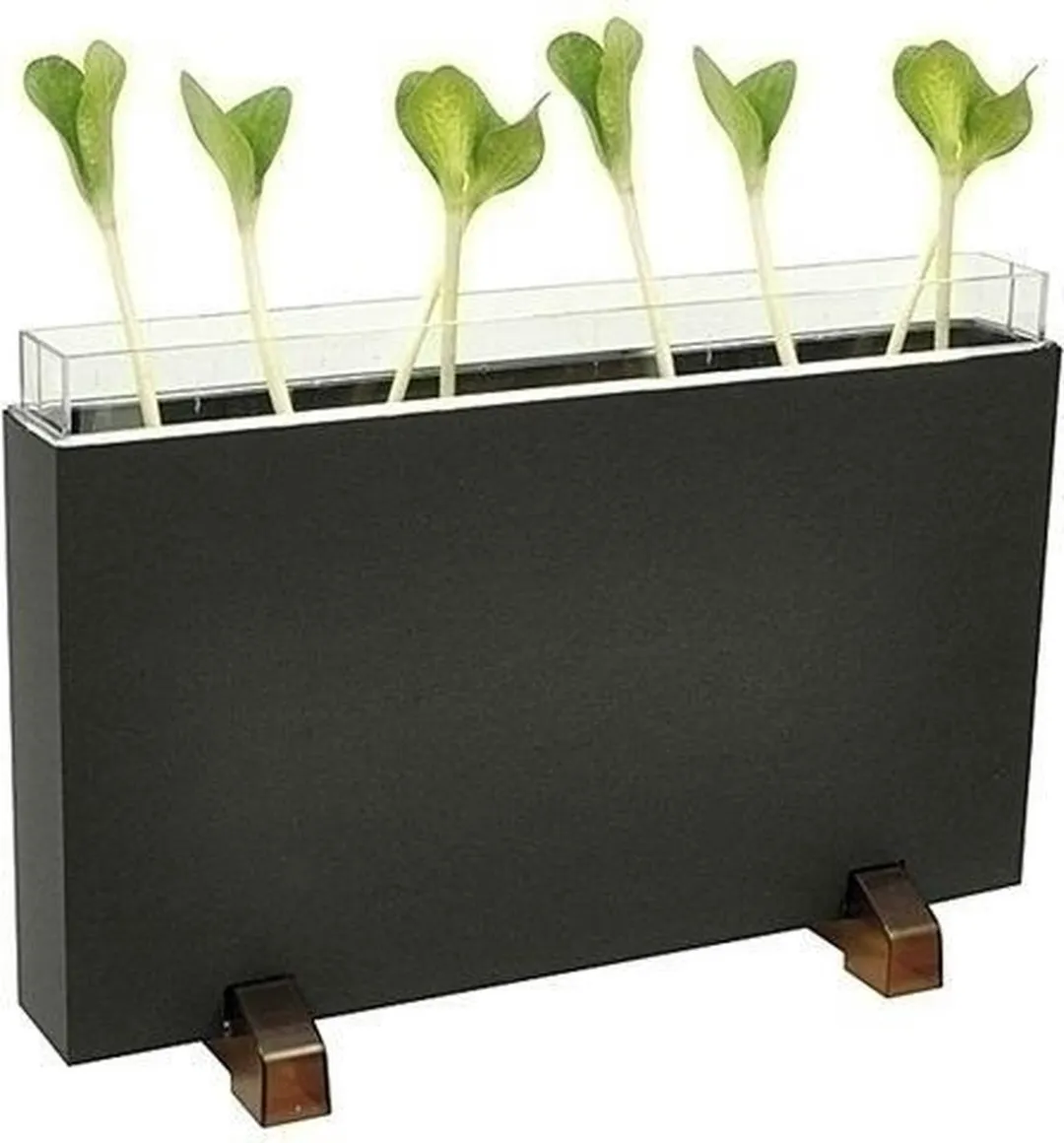 Eduplay Wortelhuis Wormenhotel 150083 - Multicolor