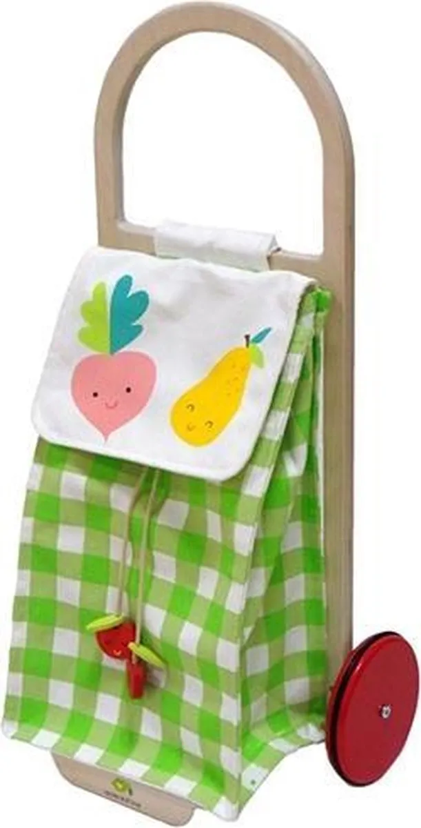 Tender Toys Boodschappentrolley Junior 29x24x63cm - Groen/Wit