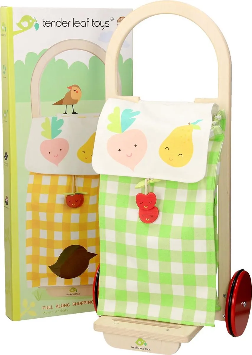 Tender Toys Boodschappentrolley Junior 29x24x63cm