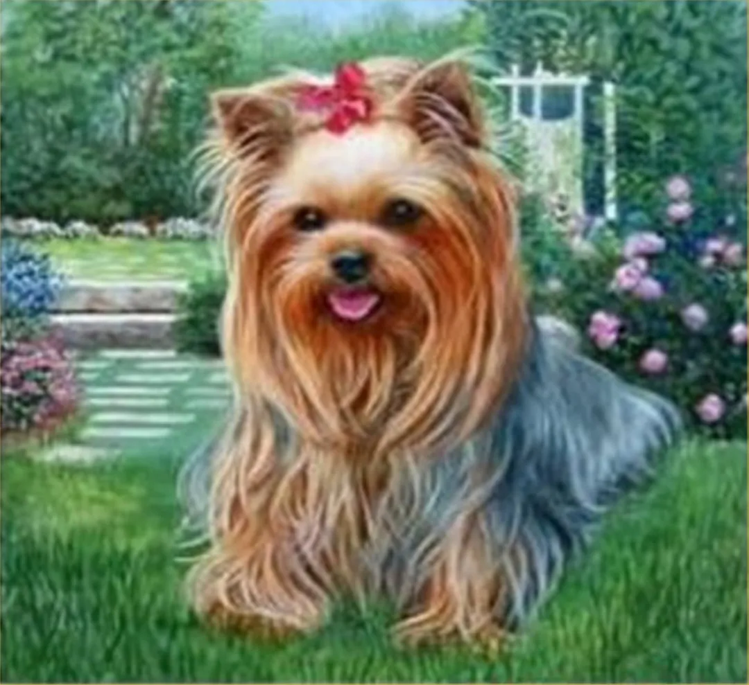 VDTOYS Diamond Painting VDTB120 Yorkshire 2