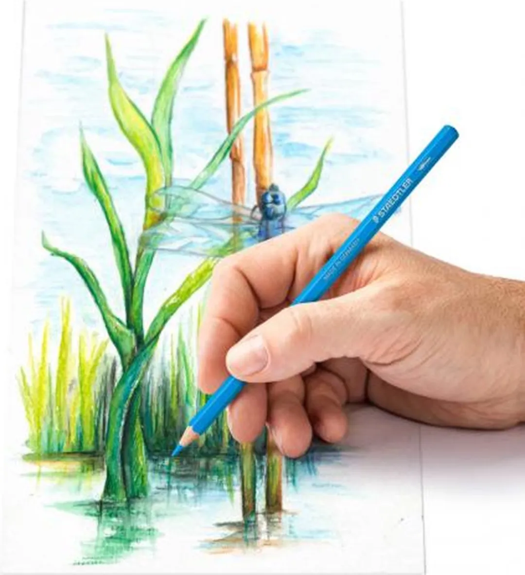 STAEDTLER Aquarel Potloden 12-delig - Metaal Etui