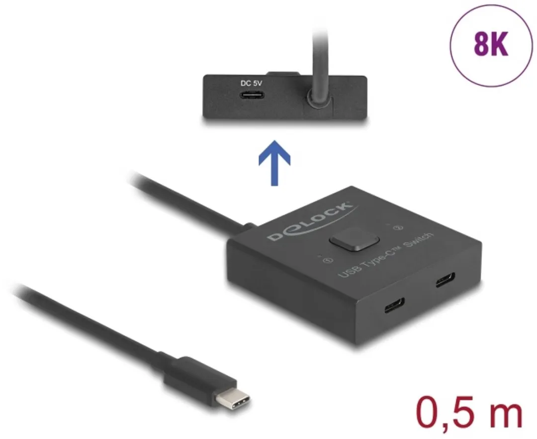 Delock 18911 USB 3.2 Gen 2 Type-C Hub - 2 Poorten - Zwart