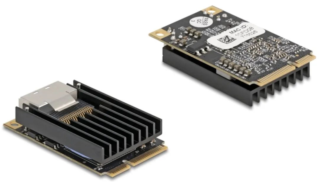 Delock Mini PCIe I/O 2x RJ45 Gigabit LAN - Zwart