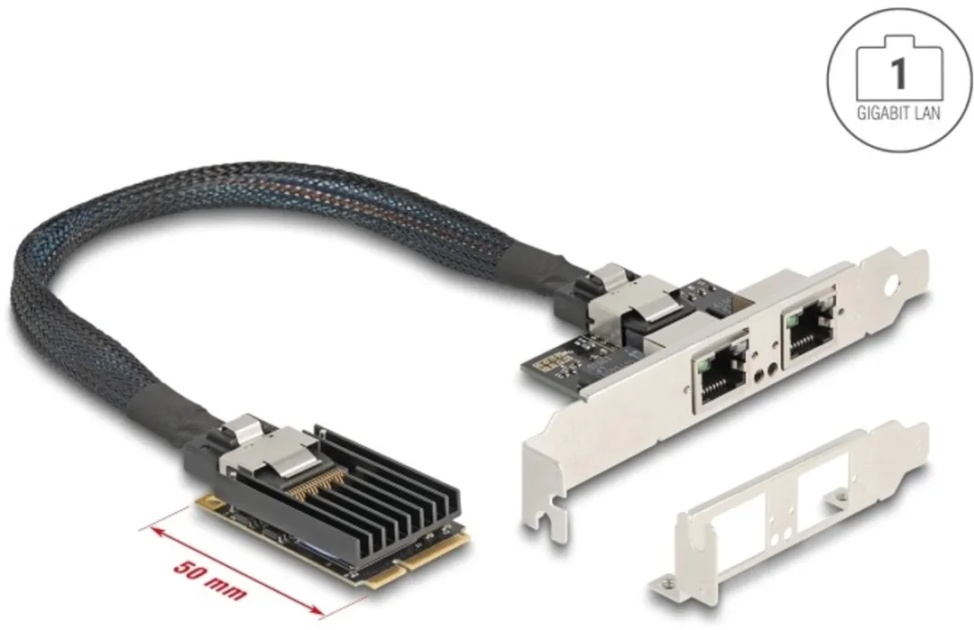 Delock Mini PCIe I/O 2x RJ45 Gigabit LAN