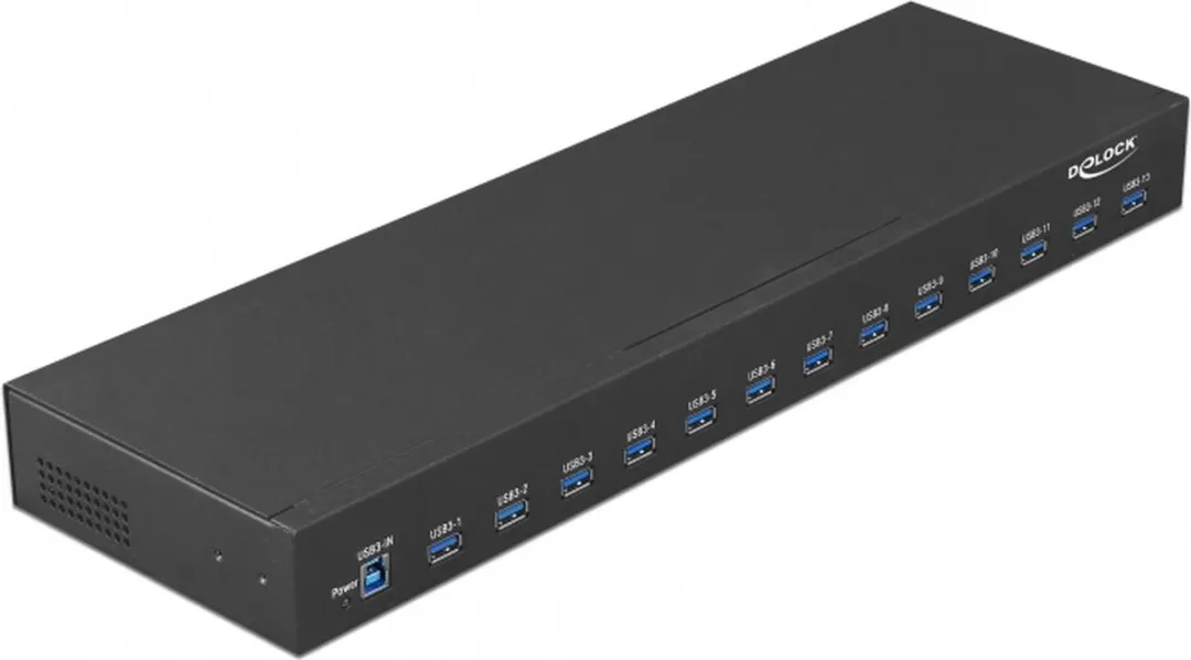 Delock 19 Industrie Hub 64039 USB 3.1 - 13 Poorten Zwart