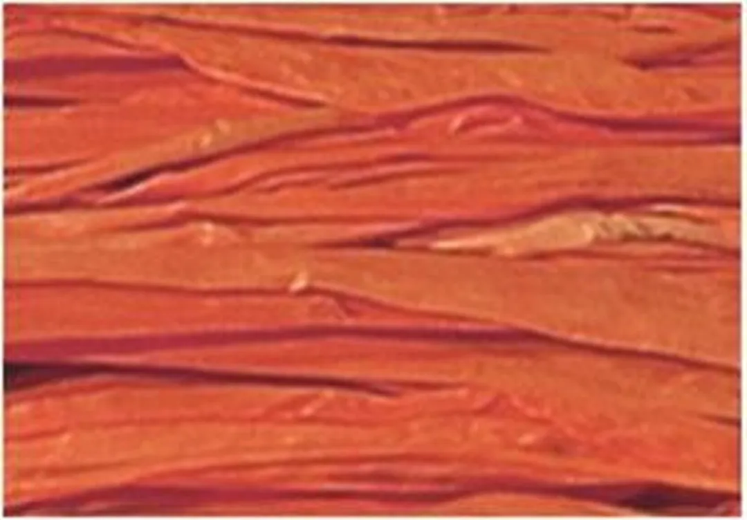 Folia Raffia - Oranje