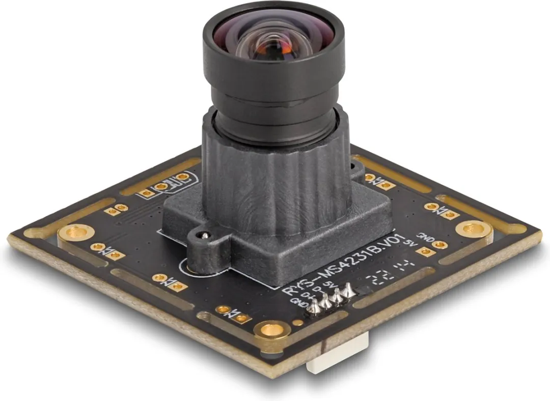 Delock 12069 Webcam 2,1 MP - USB 2.0 Zwart