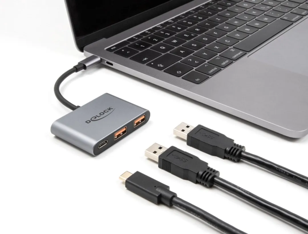 Delock 64337 USB Hub 10Gbps - Grijs