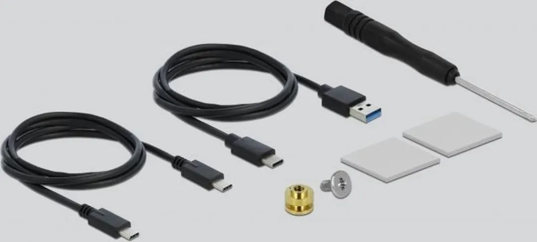 Delock 42620 M.2 NVMe SSD Behuizing - USB-C - Blauw