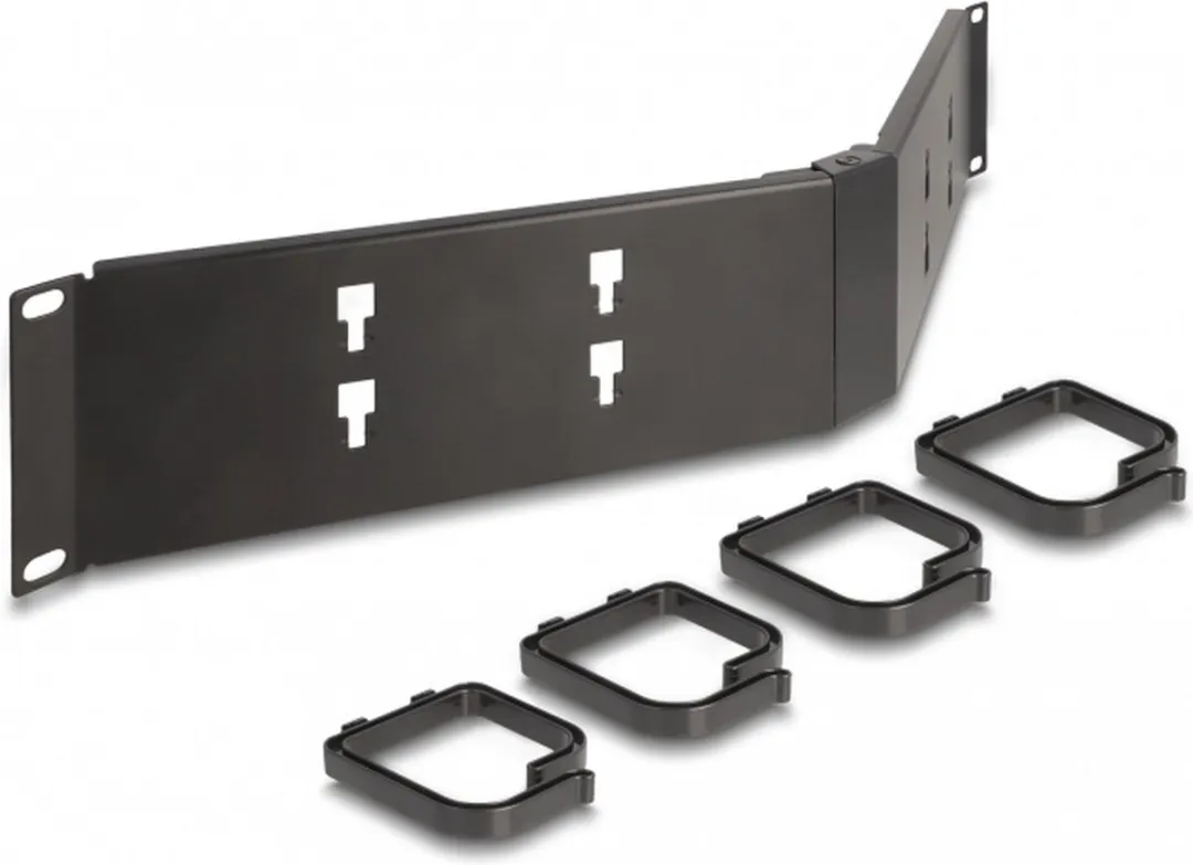 Delock 66978 Kabelmanagementpaneel 2U - 4 Haken - Zwart - afbeelding 2 van 3