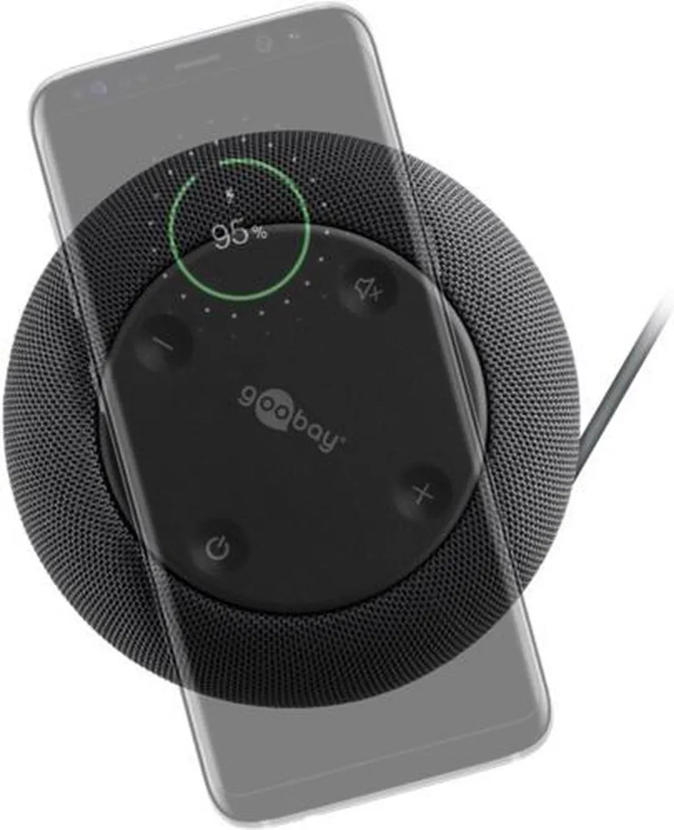 Goobay 49986 Draagbare Speaker - Grijs
