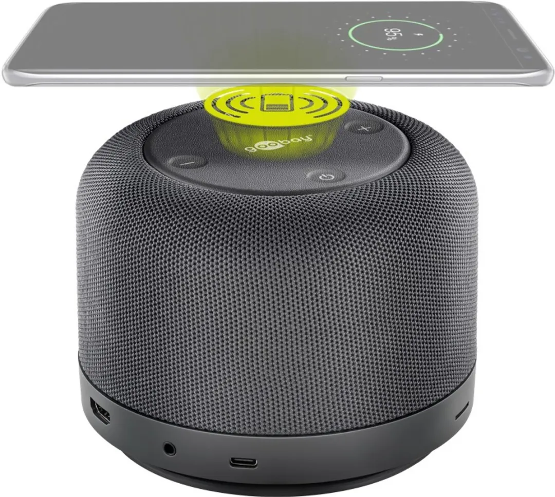 Goobay 49986 Draagbare Speaker - Grijs
