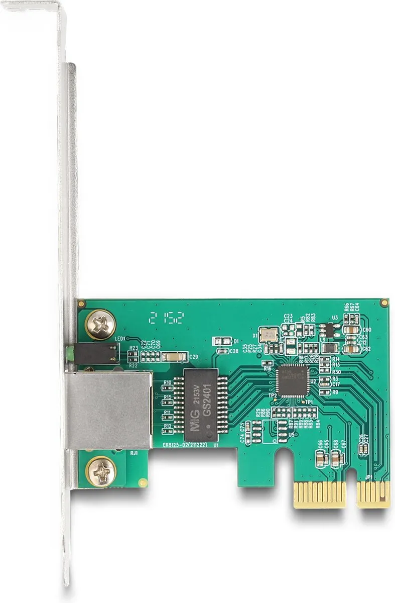 Delock 88100 Netwerkkaart 2500 Mbit/s
