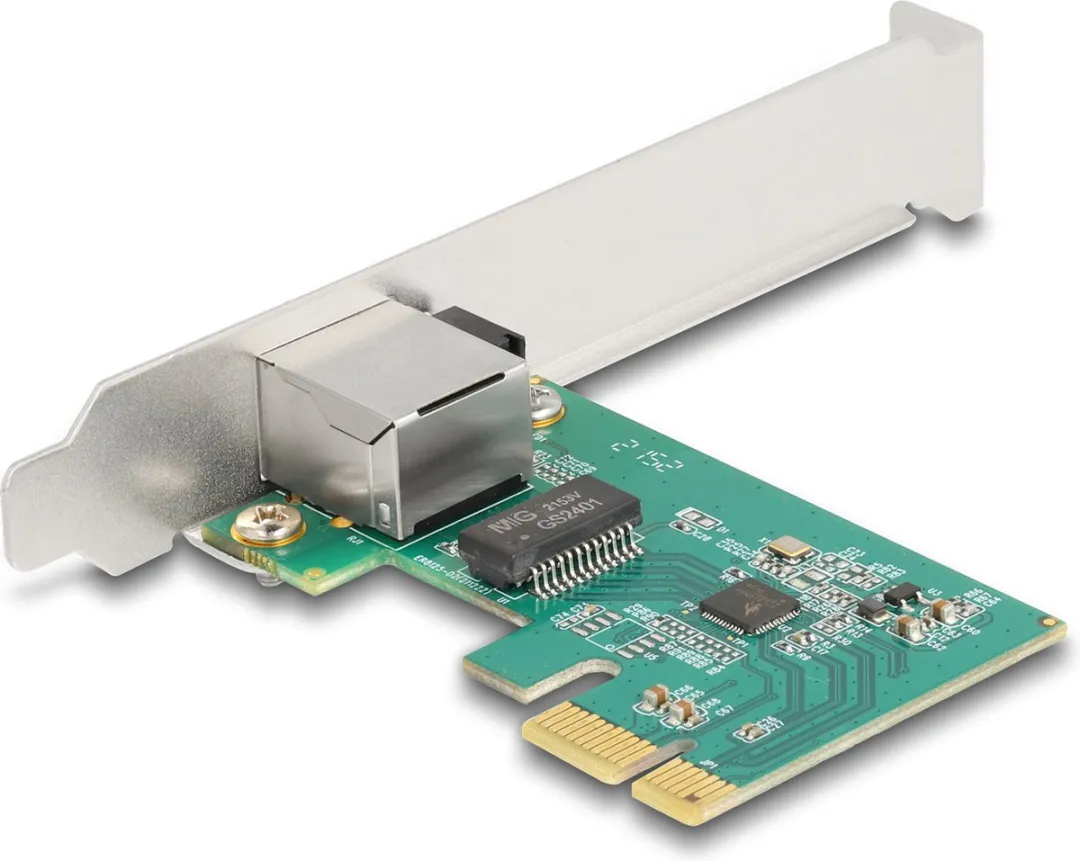 Delock 88100 Netwerkkaart 2500 Mbit/s