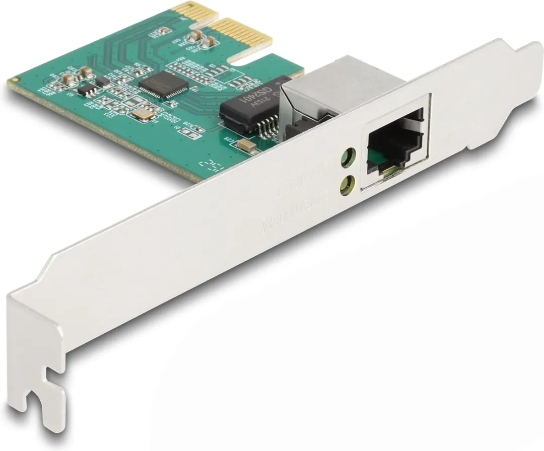 Delock 88100 Netwerkkaart 2500 Mbit/s