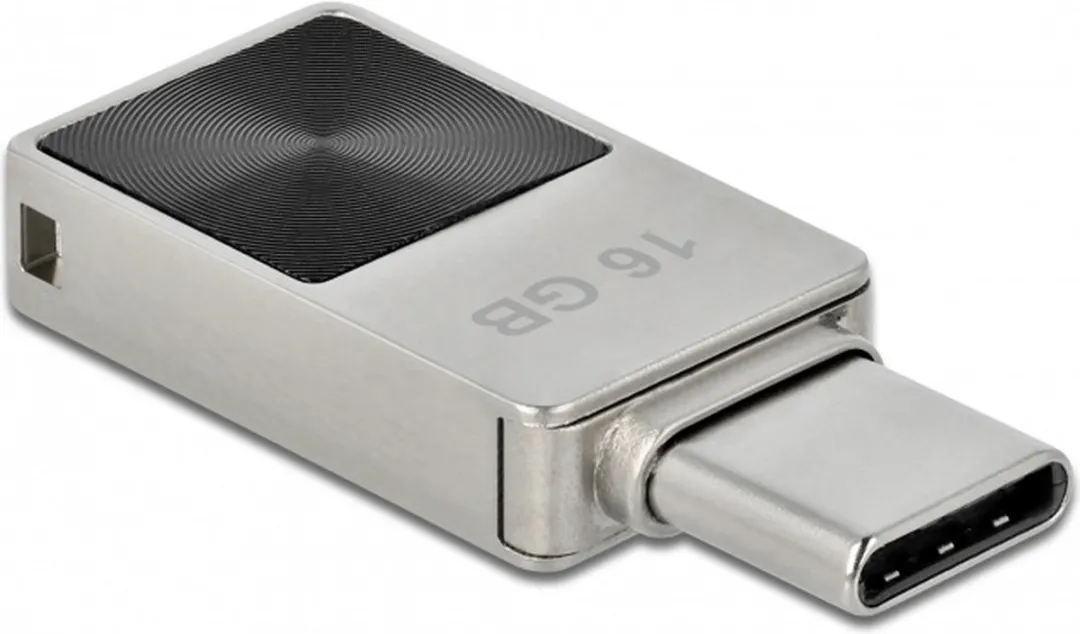 Delock 54082 USB-C Geheugenstick 16GB