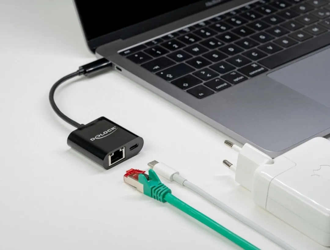 Delock 66644 USB-C naar Gigabit LAN Adapter - Zwart
