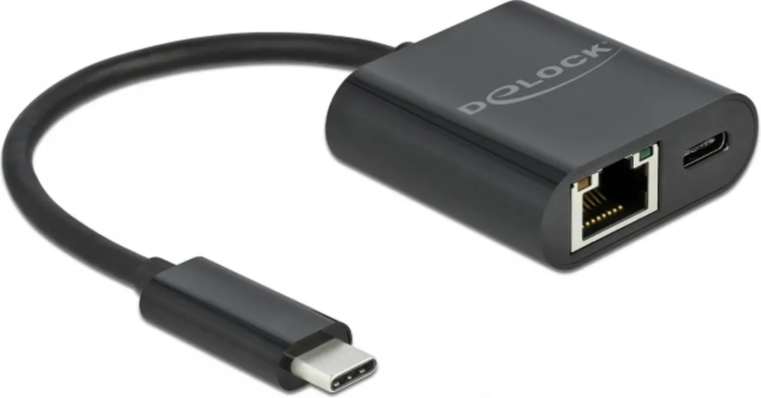 Delock 66644 USB-C naar Gigabit LAN Adapter