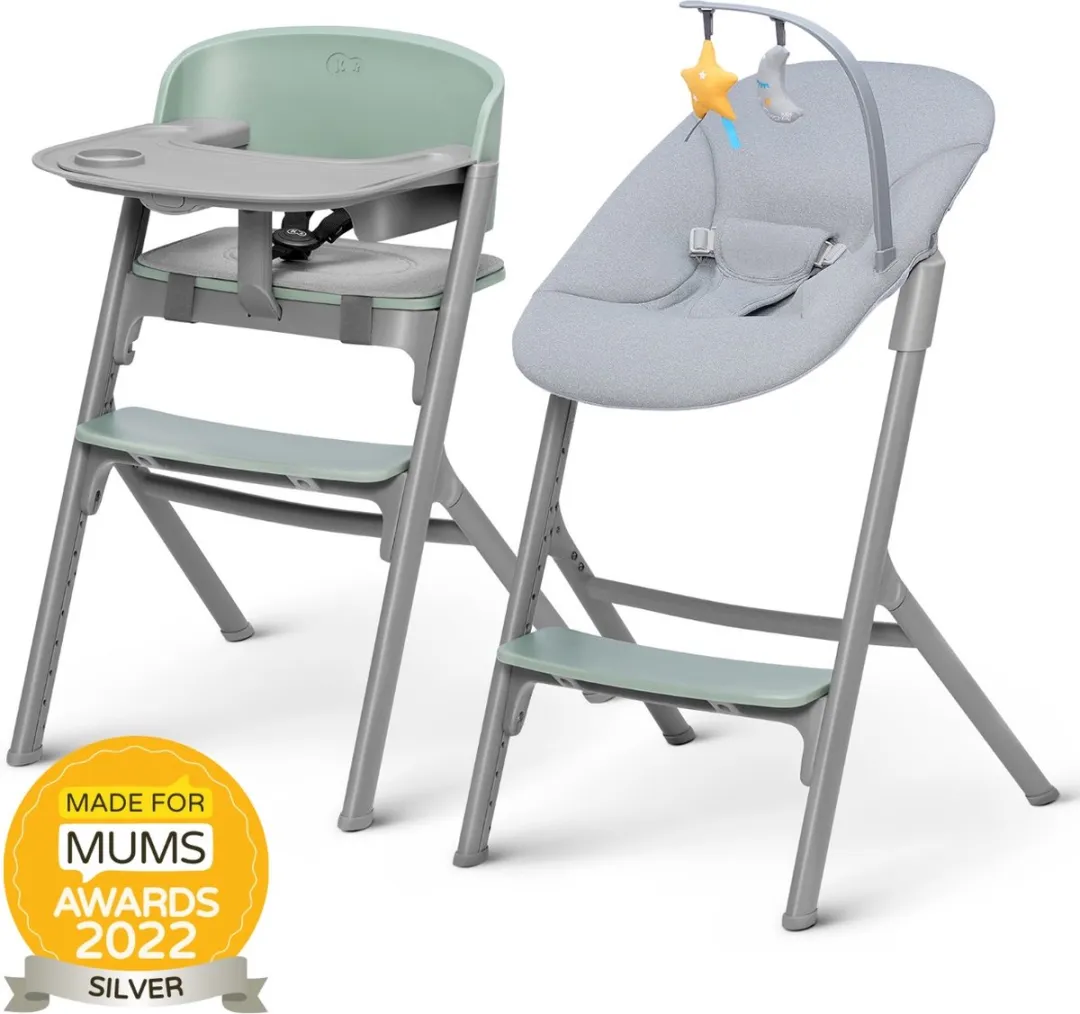 KinderKraft LIVY Kinderstoel 4-in-1 Groen