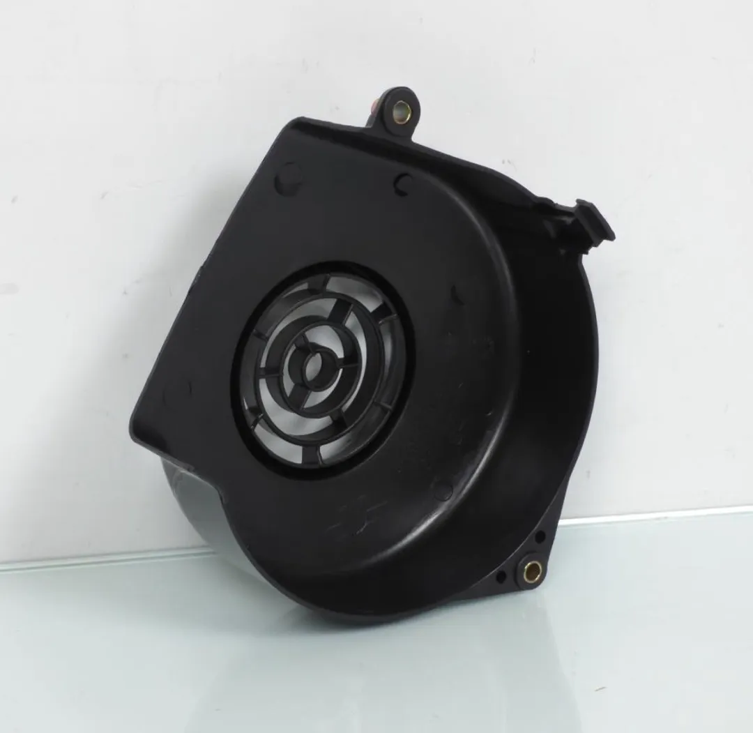 Peugeot 50 Ludix One Carter Ontsteking 1176020300