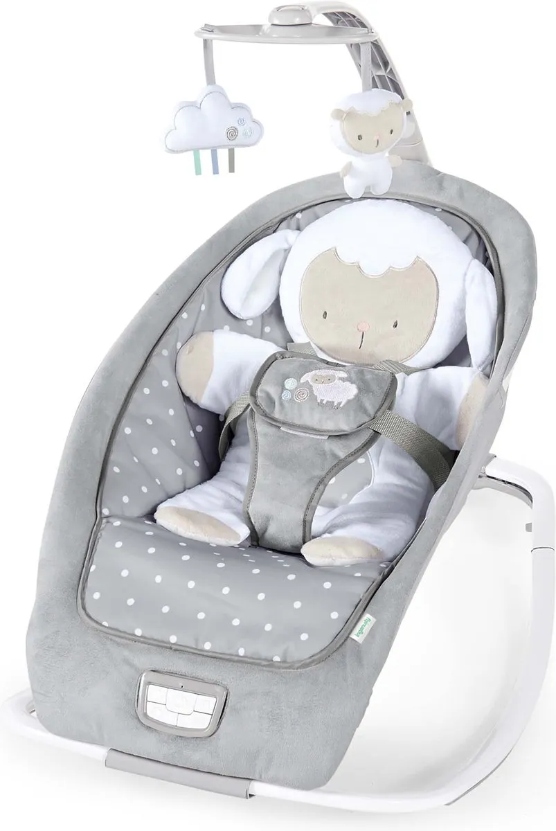 Bright Starts Ingenuity Rocker Seat Wipstoel