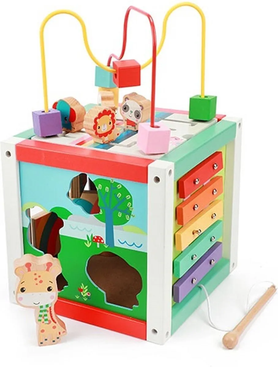 Fisher Price 5-in-1 Houten Activiteitenkubus - Blauw