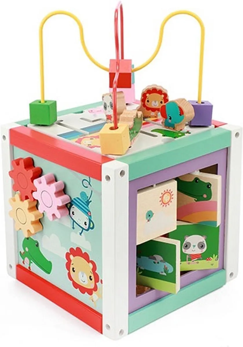 Fisher Price 5-in-1 Houten Activiteitenkubus - Blauw
