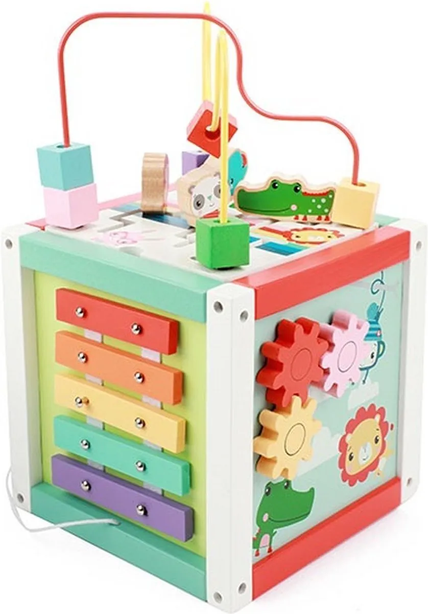 Fisher Price 5-in-1 Houten Activiteitenkubus - Blauw
