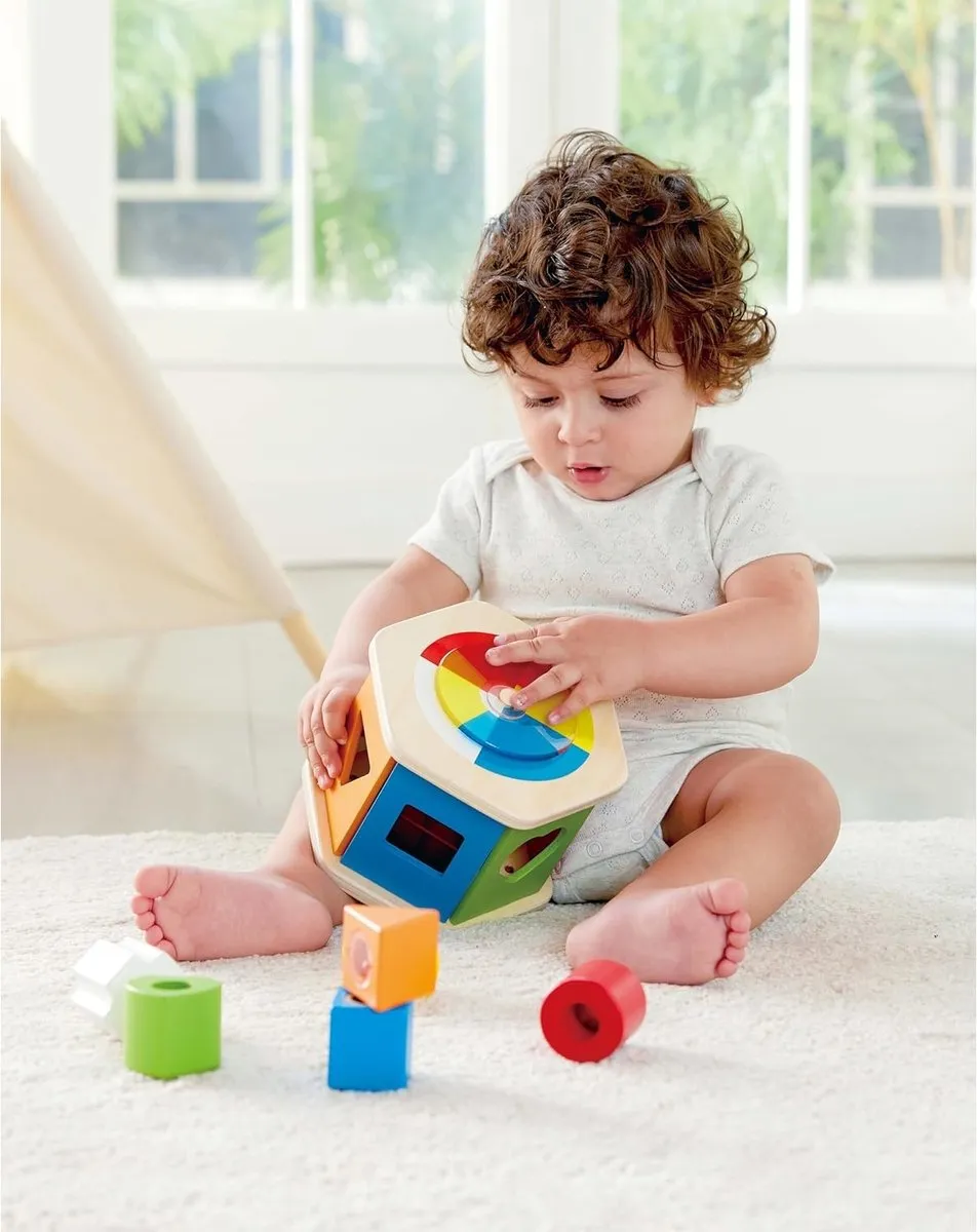 Hape Wonder Vormensorteerder Multicolor