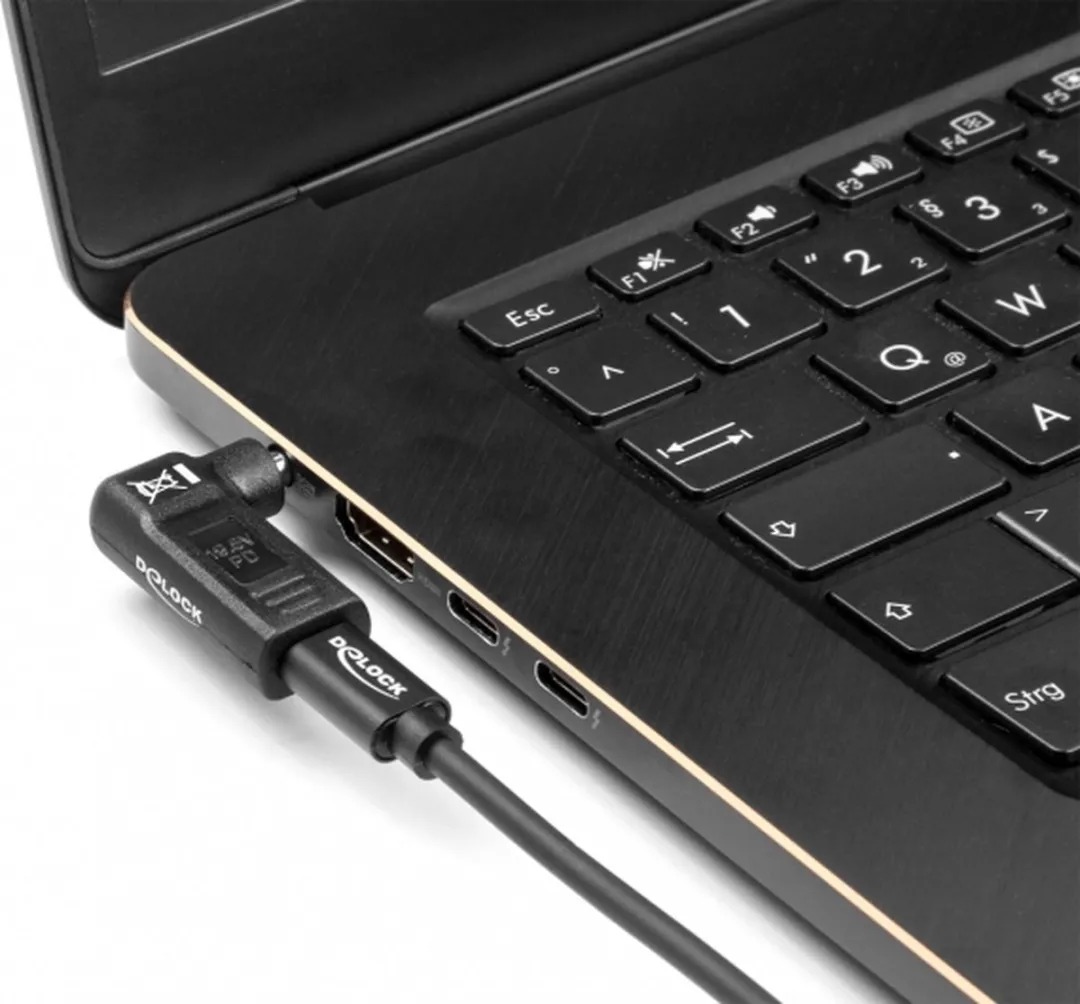 Delock 60011 Laptopstroomplug - afbeelding 2 van 3