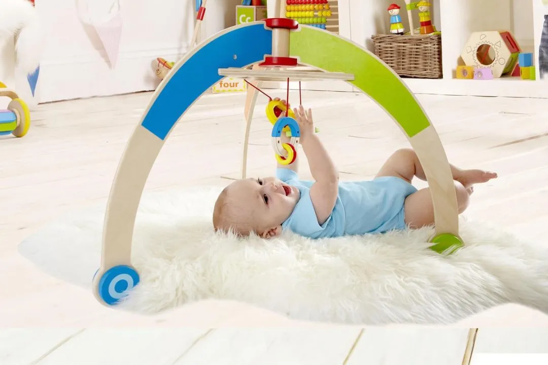 Hape My First Gym - 10 Stuks - Multicolor