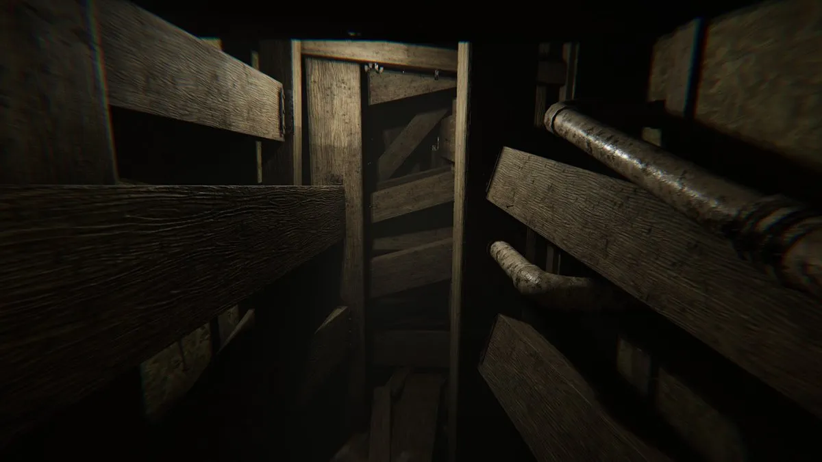 Mindscape PS5 Madison Possessed Edition - afbeelding 5 van 6