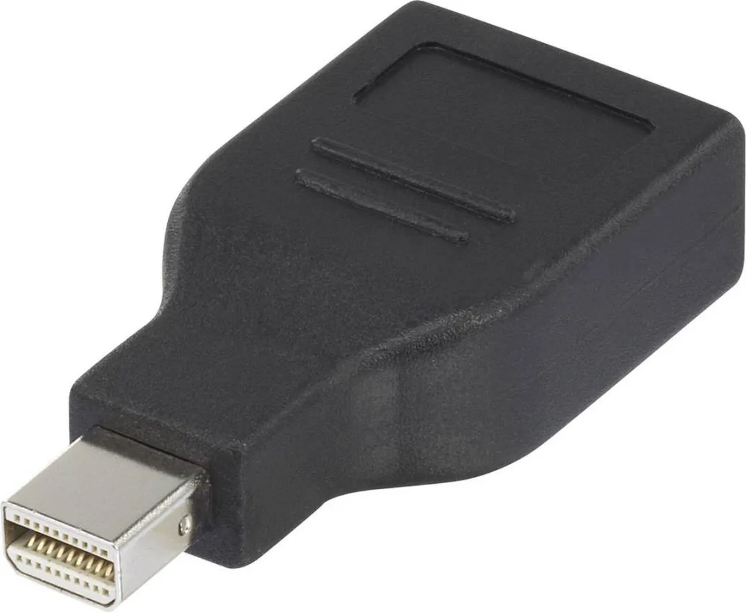 Renkforce RF-4174572 DisplayPort Adapter