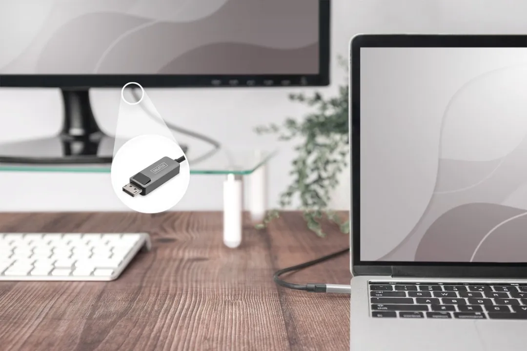 Digitus DB-300334-020-S DisplayPort Adapter - USB-C naar DisplayPort - 2m - Zwart