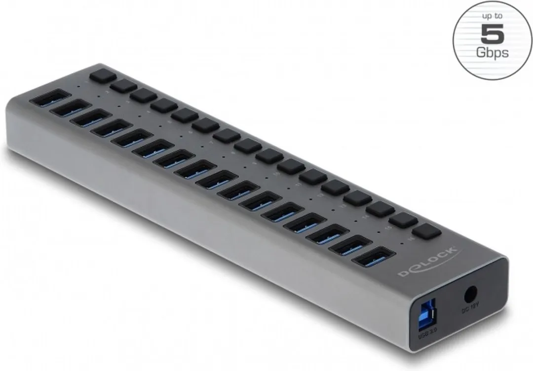 Delock USB Hub 16 Poorten 63739