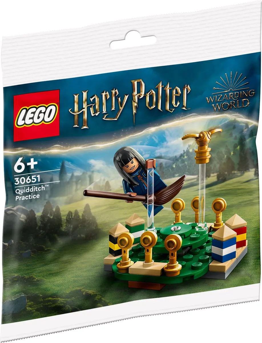 LEGO Harry Potter Zwerkbal Training 30651