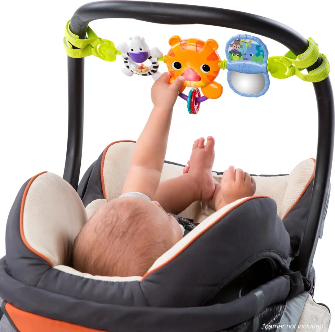 Bright Starts Hop Along Carrier Toy Bar - Multi - 6 Stuks