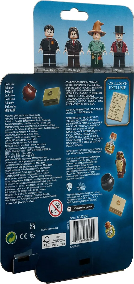 LEGO Harry Potter Tovernaarswereld Accessoireset 40500 - 4 Minifiguren