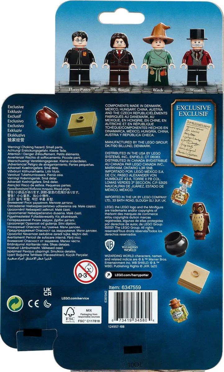 LEGO Harry Potter Tovernaarswereld Accessoireset 40500 - 4 Minifiguren