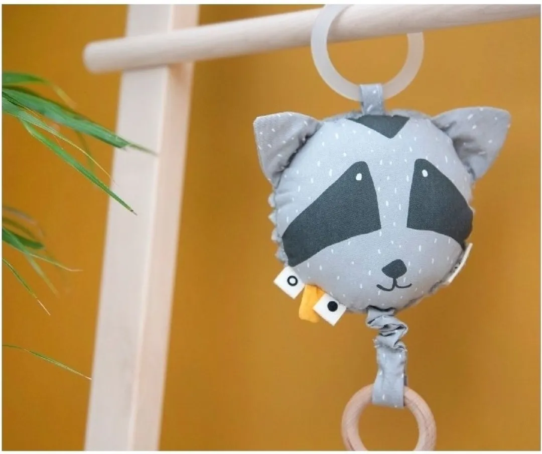 Trixie Mr. Raccoon Muziekspeeltje - Grijs
