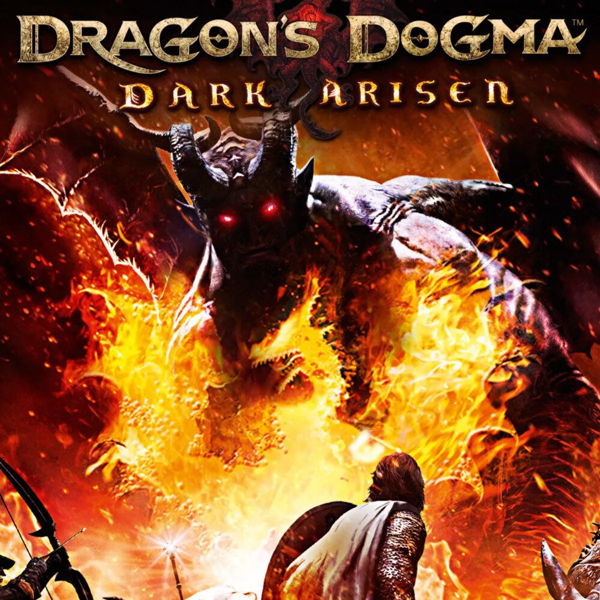 Capcom Dragon's Dogma: Dark Arisen - 4 Spelers Online