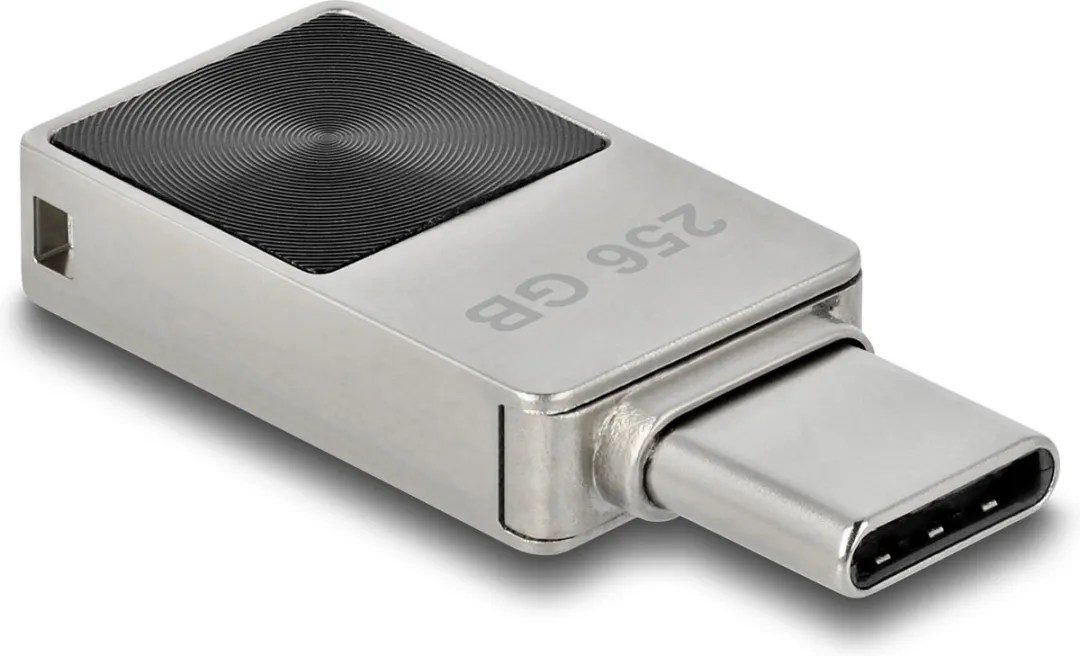 Delock 54009 USB Flash Drive 256GB Type-C