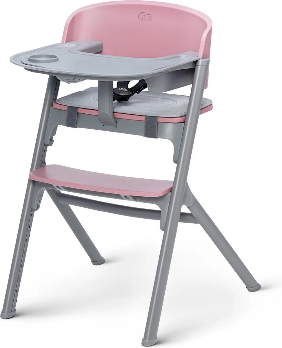 KinderKraft LIVY 3-in-1 Kinderstoel