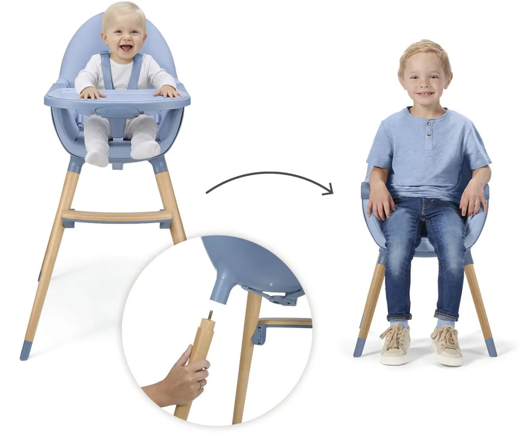KinderKraft FINI 2 Kinderstoel 2-in-1 Nordic Breeze